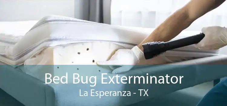 Bed Bug Exterminator La Esperanza - TX