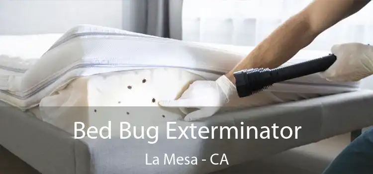 Bed Bug Exterminator La Mesa - CA