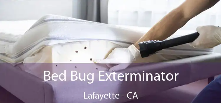 Bed Bug Exterminator Lafayette - CA