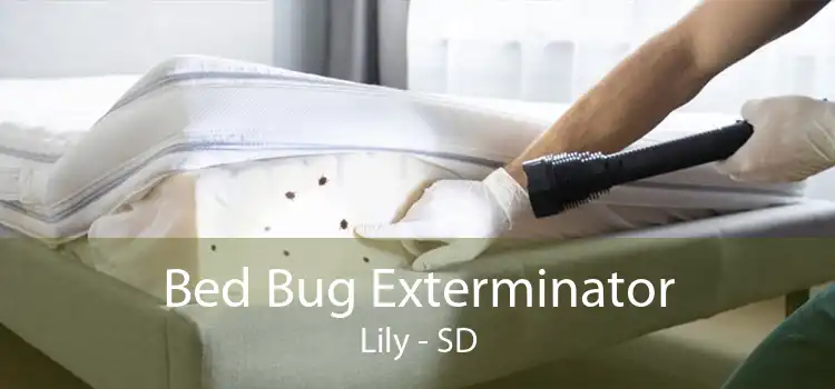 Bed Bug Exterminator Lily - SD