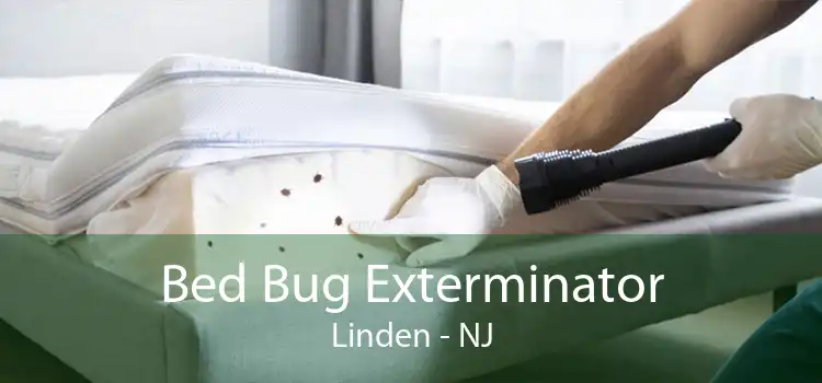 Bed Bug Exterminator Linden - NJ