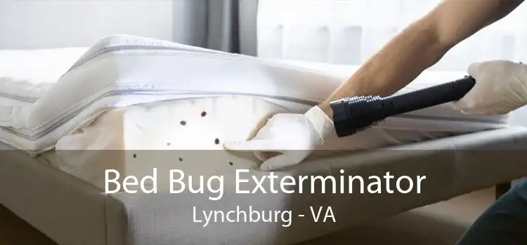 Bed Bug Exterminator Lynchburg - VA