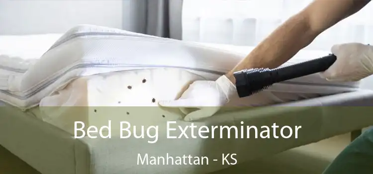  Bed Bug Exterminator Manhattan - KS