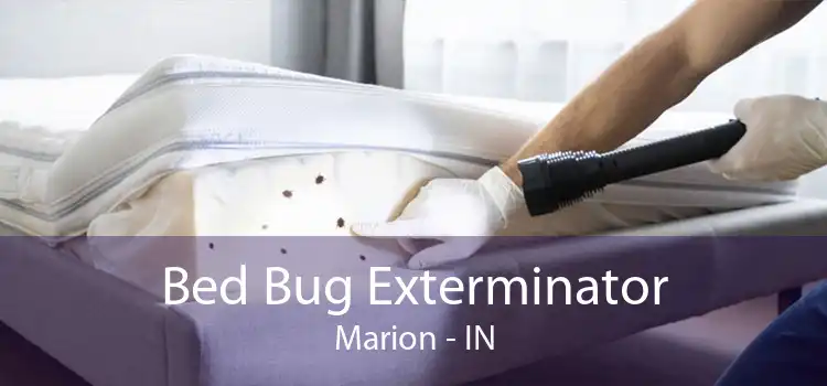 Bed Bug Exterminator Marion - IN