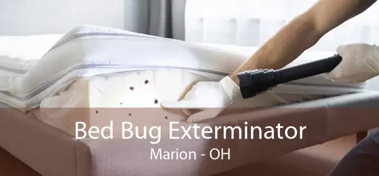 Bed Bug Exterminator Marion - OH