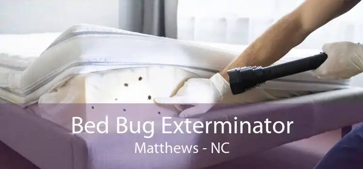 Bed Bug Exterminator Matthews - NC