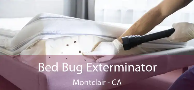 Bed Bug Exterminator Montclair - CA
