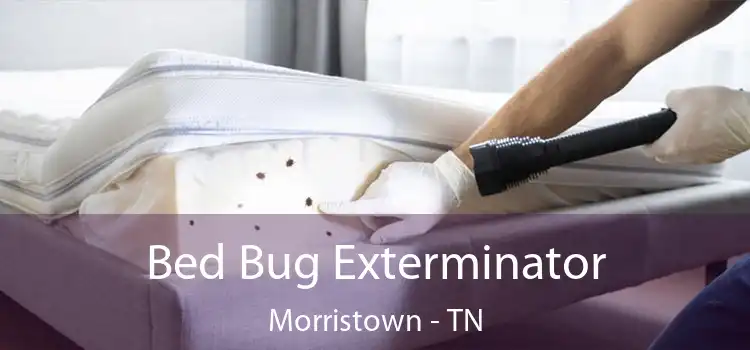  Bed Bug Exterminator Morristown - TN