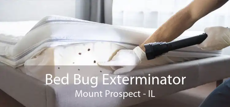 Bed Bug Exterminator Mount Prospect - IL