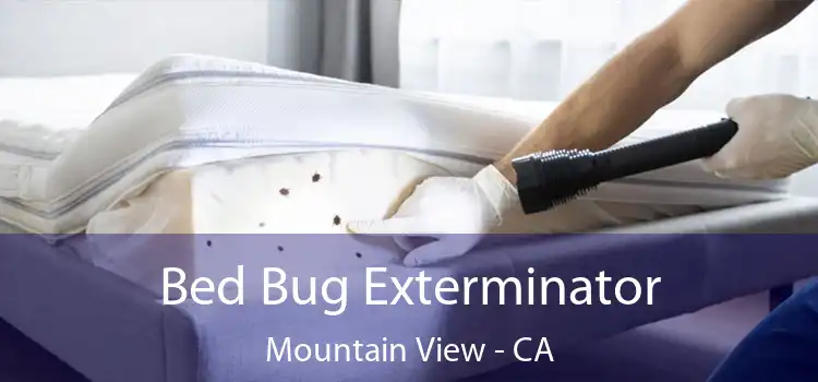 Bed Bug Exterminator Mountain View - CA