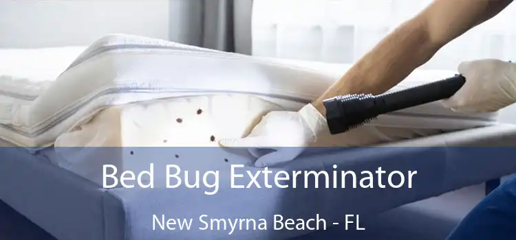 Bed Bug Exterminator New Smyrna Beach - FL