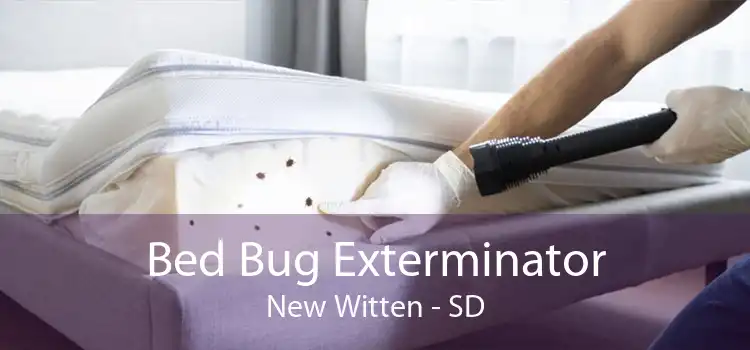 Bed Bug Exterminator New Witten - SD