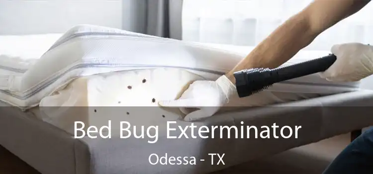  Bed Bug Exterminator Odessa - TX