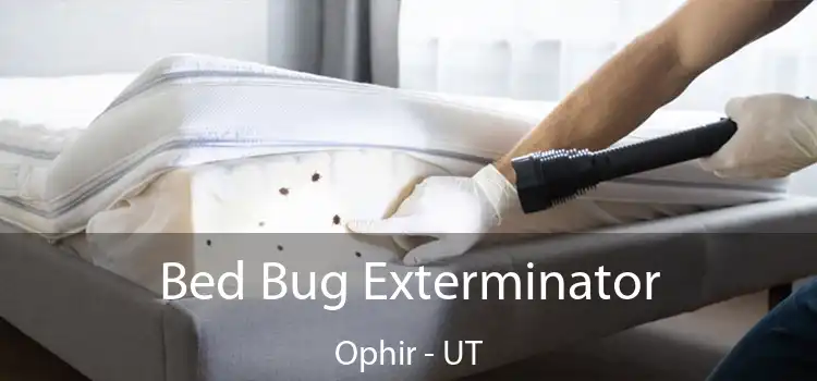  Bed Bug Exterminator Ophir - UT