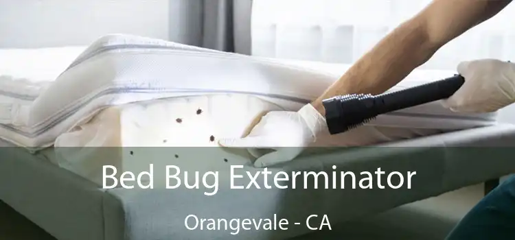 Bed Bug Exterminator Orangevale - CA