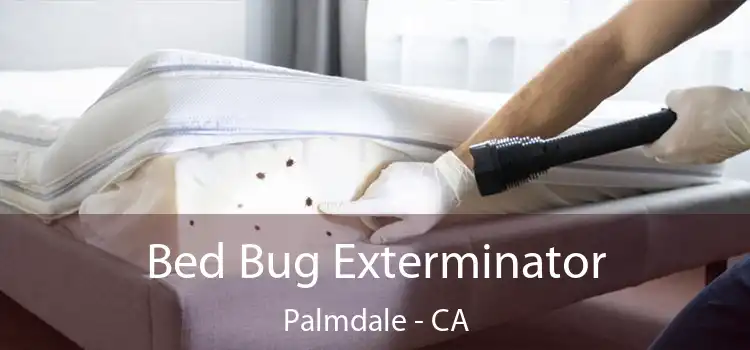  Bed Bug Exterminator Palmdale - CA