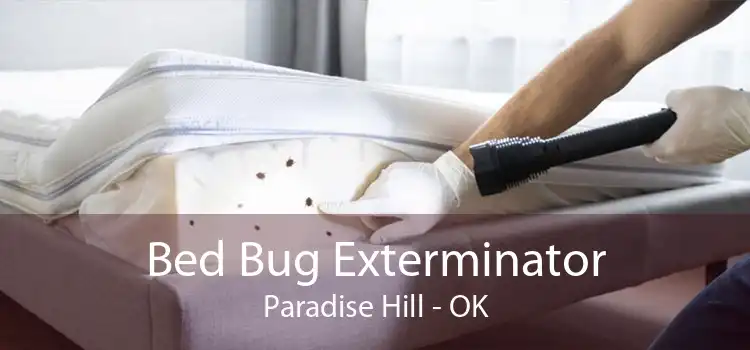Bed Bug Exterminator Paradise Hill - OK