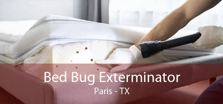 Bed Bug Exterminator Paris - TX