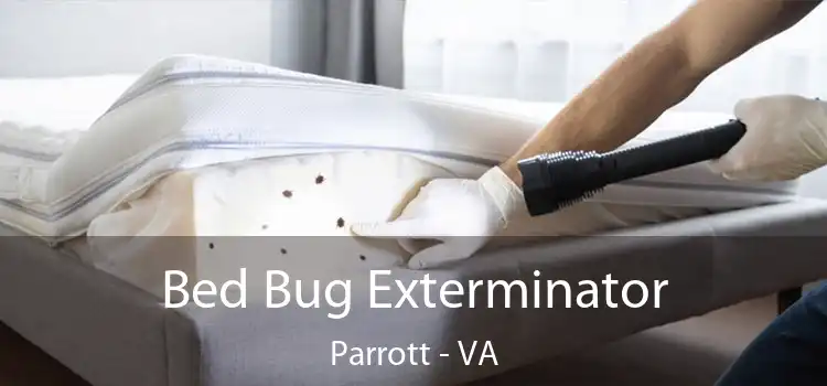  Bed Bug Exterminator Parrott - VA