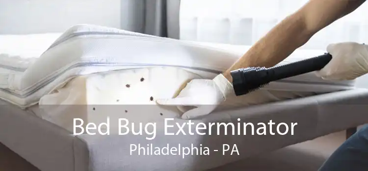 Bed Bug Exterminator Philadelphia - PA