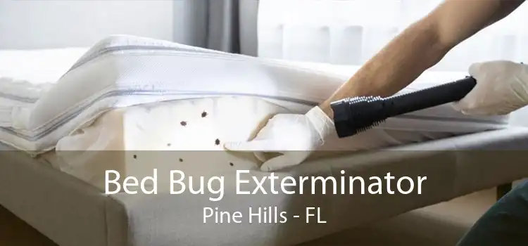 Bed Bug Exterminator Pine Hills - FL