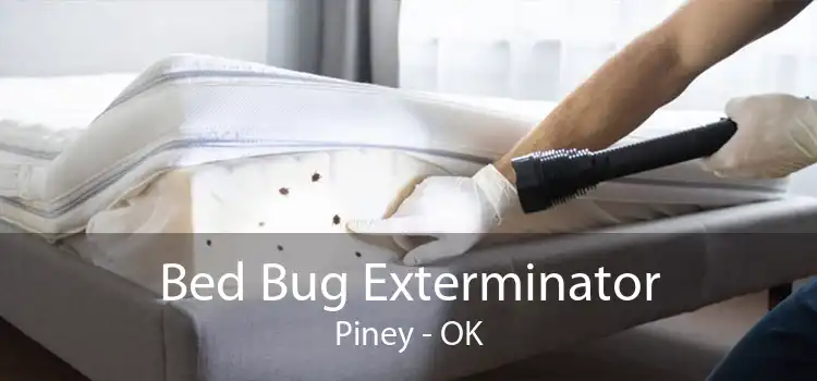 Bed Bug Exterminator Piney - OK