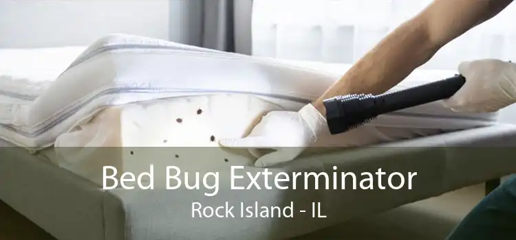 Bed Bug Exterminator Rock Island - IL