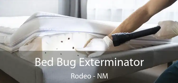  Bed Bug Exterminator Rodeo - NM