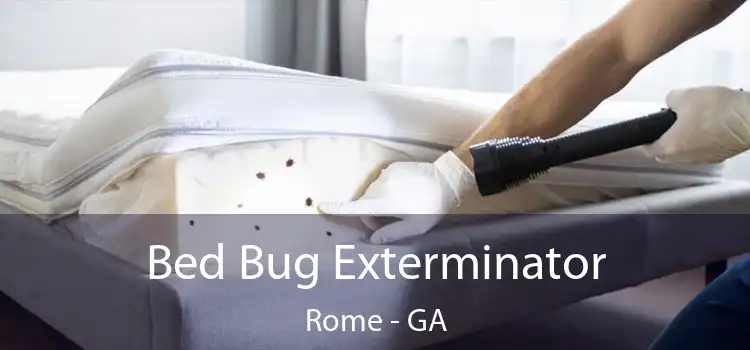  Bed Bug Exterminator Rome - GA