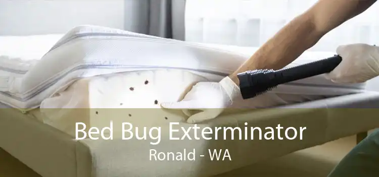 Bed Bug Exterminator Ronald - WA