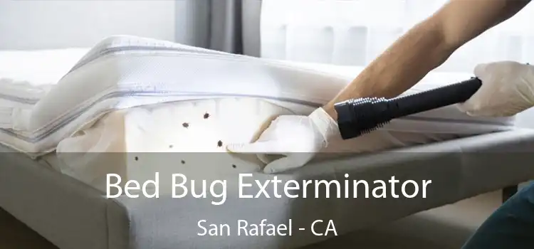 Bed Bug Exterminator San Rafael - CA