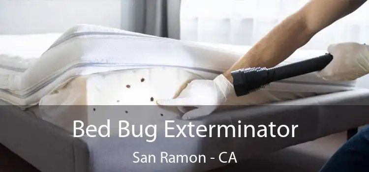  Bed Bug Exterminator San Ramon - CA