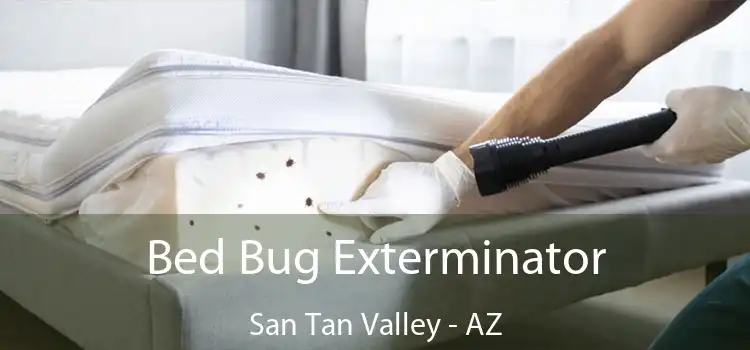  Bed Bug Exterminator San Tan Valley - AZ