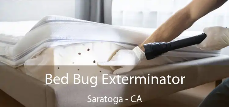  Bed Bug Exterminator Saratoga - CA