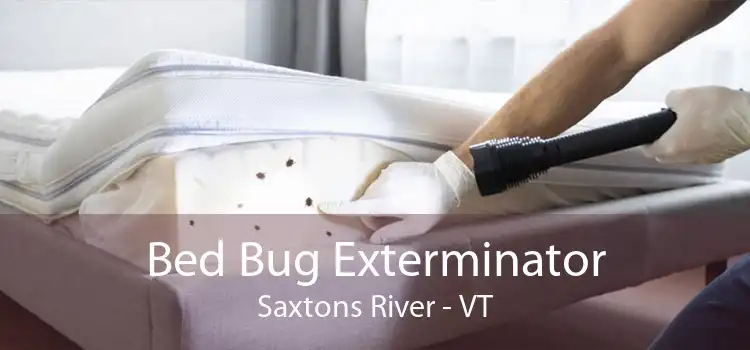 Bed Bug Exterminator Saxtons River - VT