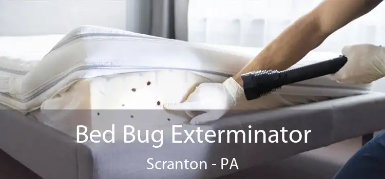  Bed Bug Exterminator Scranton - PA