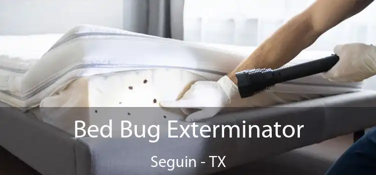  Bed Bug Exterminator Seguin - TX