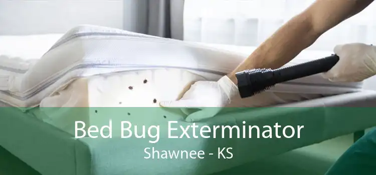 Bed Bug Exterminator Shawnee - KS