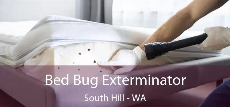 Bed Bug Exterminator South Hill - WA