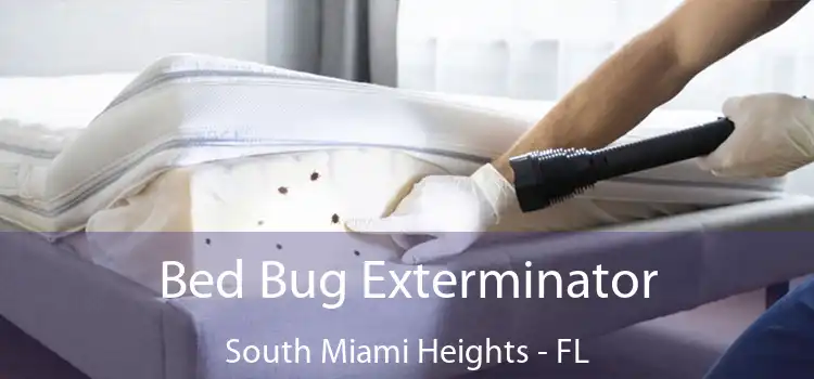  Bed Bug Exterminator South Miami Heights - FL