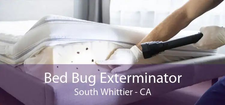Bed Bug Exterminator South Whittier - CA