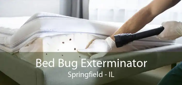 Bed Bug Exterminator Springfield - IL