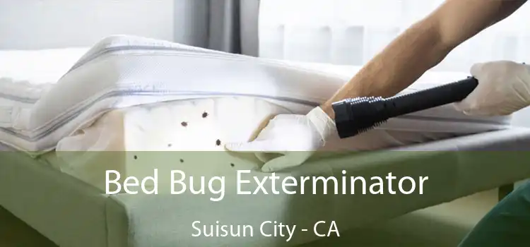  Bed Bug Exterminator Suisun City - CA