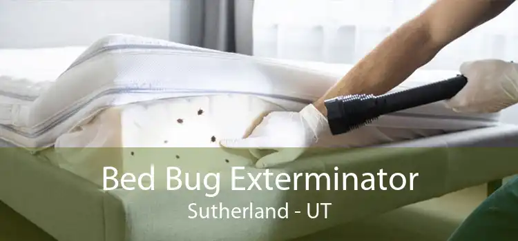 Bed Bug Exterminator Sutherland - UT