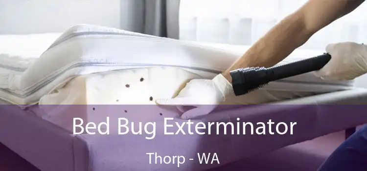  Bed Bug Exterminator Thorp - WA