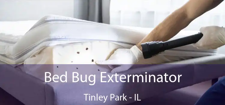 Bed Bug Exterminator Tinley Park - IL