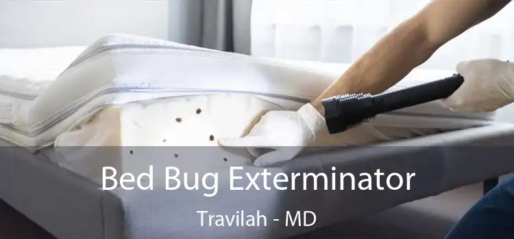  Bed Bug Exterminator Travilah - MD
