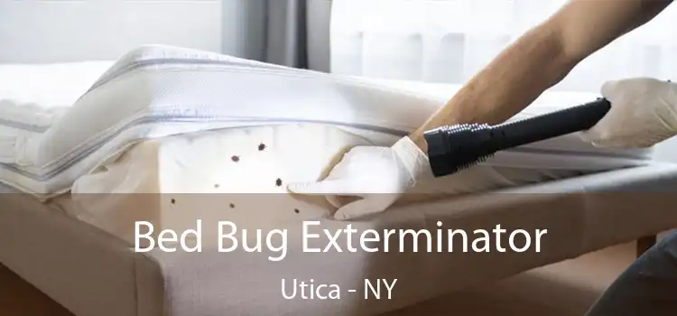  Bed Bug Exterminator Utica - NY