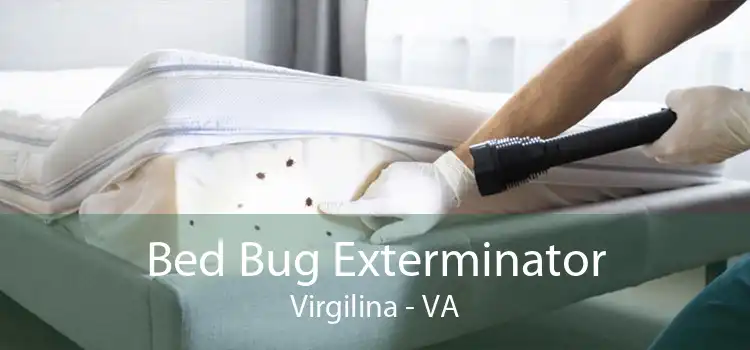 Bed Bug Exterminator Virgilina - VA