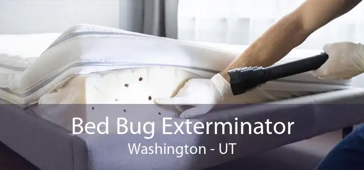 Bed Bug Exterminator Washington - UT